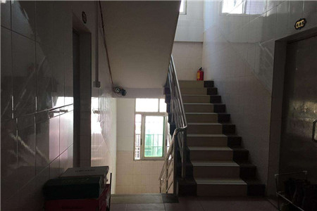 农村自建房楼梯怎么布局?看完大有裨益