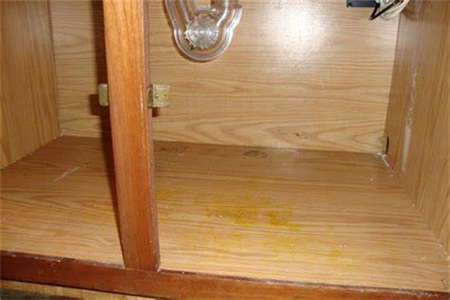 家里的木柜受潮发霉怎么处理好呢