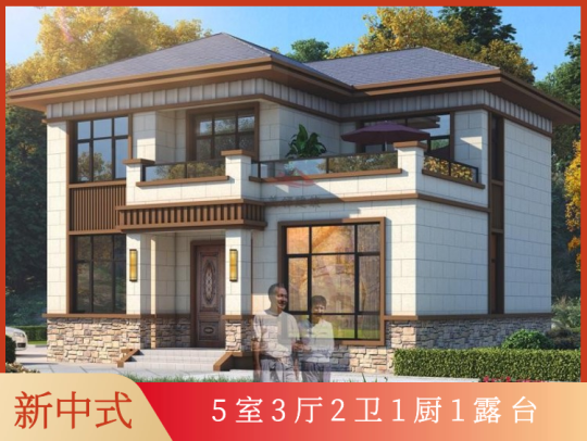 新中式二层带堂屋乡下农村自建房别墅设计图纸